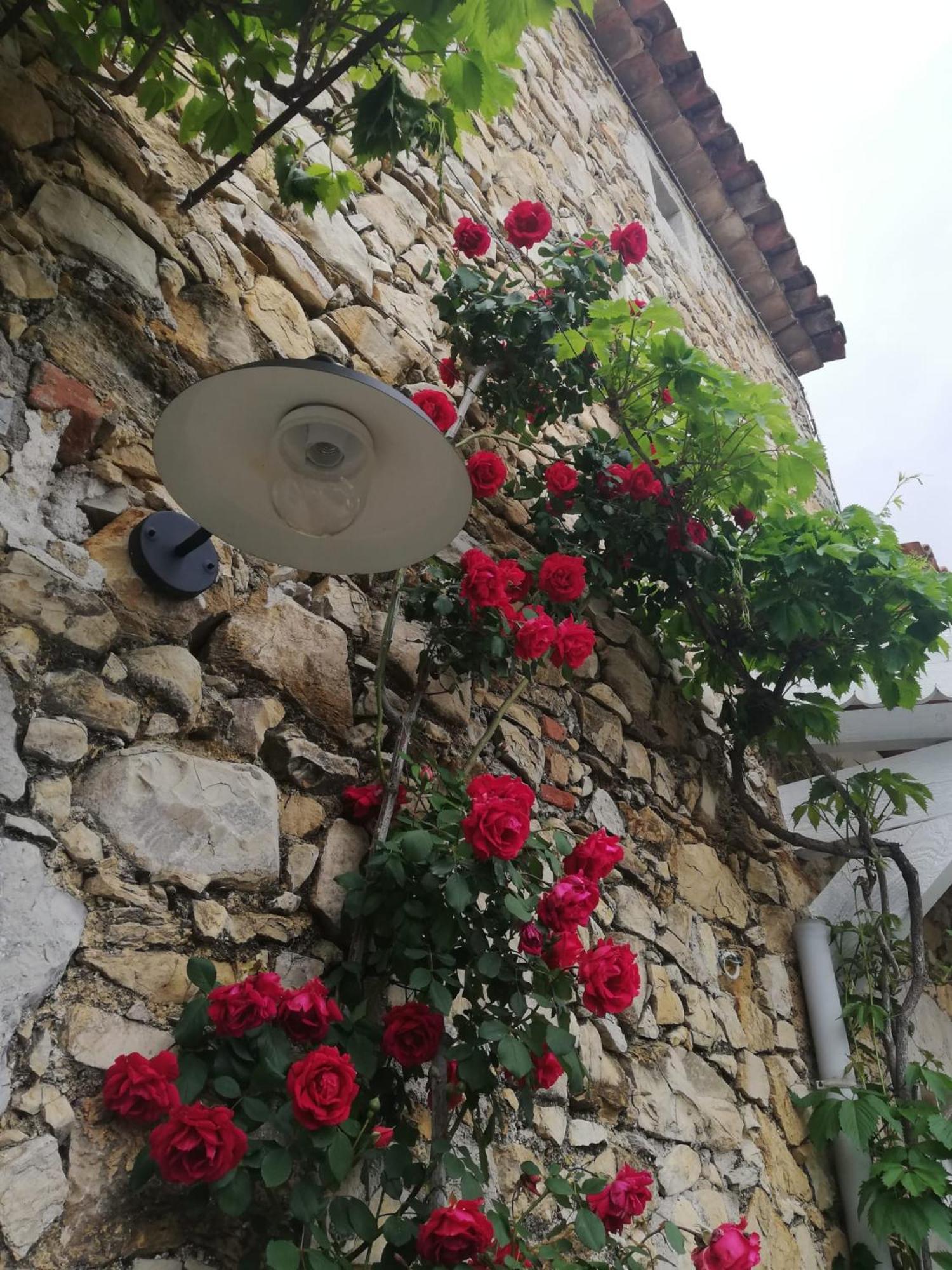Magnanerie Le Mas D'Elise Boisset-et-Gaujac Esterno foto